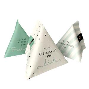 DIY Mini Geschenktütchen 