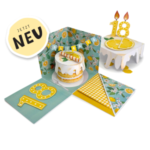 DIY Geldgeschenk 18. Geburtstag Explosionsbox 
